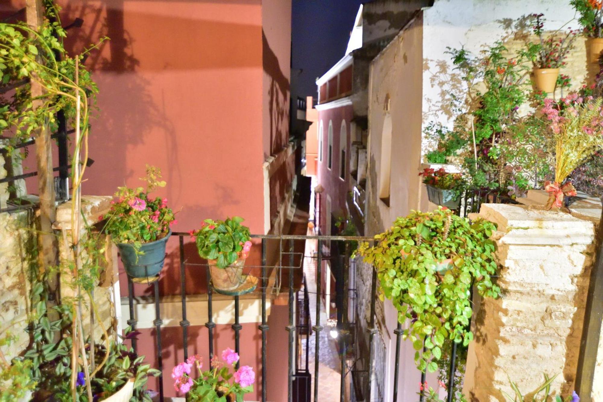 Casa Tenorio Barrio De Santa Cruz Sevilla Eksteriør billede